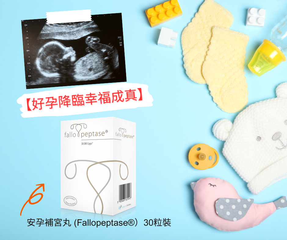 安孕補宮丸 (Fallopeptase®)